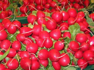 Lesung: ,,Radieschenmaus und Kuschelgurke“